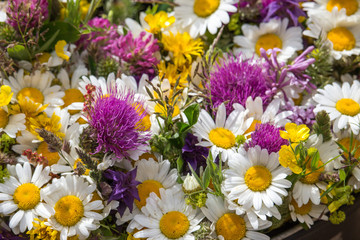 The meadow flowers have been awaiting the summer solstice festival.