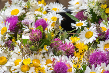 The meadow flowers have been awaiting the summer solstice festival.