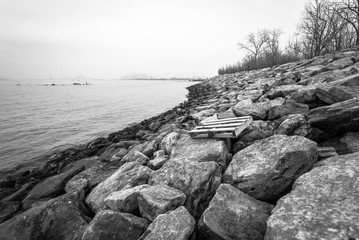 Pallet on Shoreline