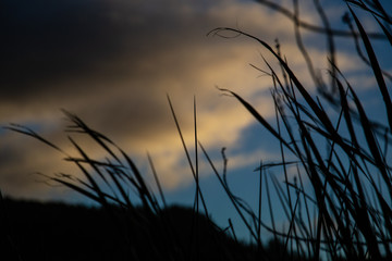 Fototapeta premium Sky NZ