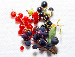 Black and red berries