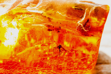 amber with inclusions