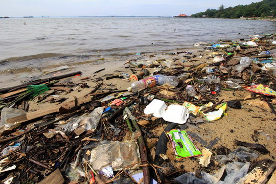 Polluted beach and ocean 