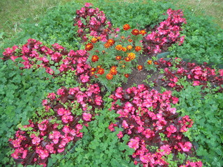 Fototapeta na wymiar original flower bed with beautiful flowers
