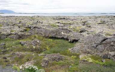 Fototapeta na wymiar Landschaft im Gebiet um den Mývatn-See / Nord-Island