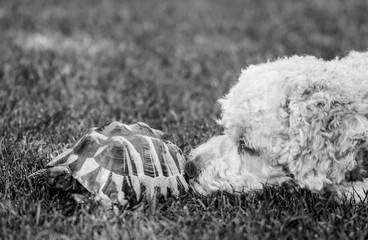 Freundschaft
