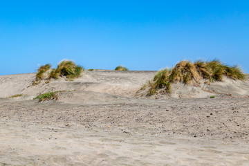 Sand dunes at Ocean Beach, in San Francisco