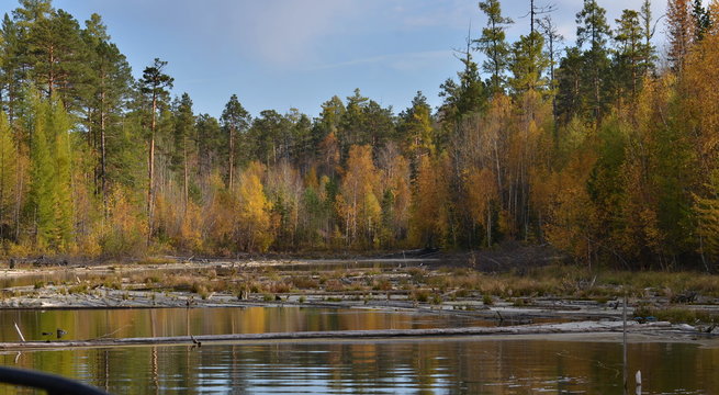 Siberian river Ilim in autumn
