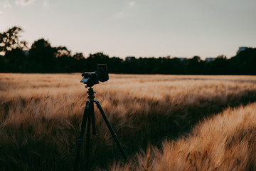 silhouette of camera on tripod in wheat field capturing during evening sunset light