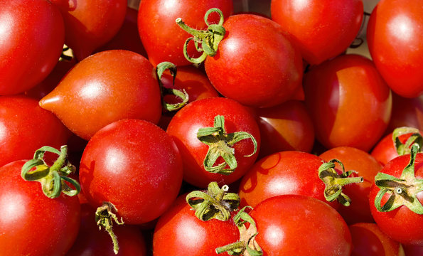 Red tomatoes background. Group of tomatoes