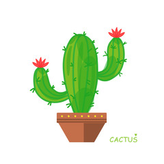 Isolated cactus. Doodle style. Vector illustration. House plant