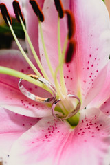 Wedding rings inside flowers