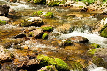 A mountain stream and stones covered with moss