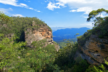 Hiking in Blue Mountains in summer in Australia