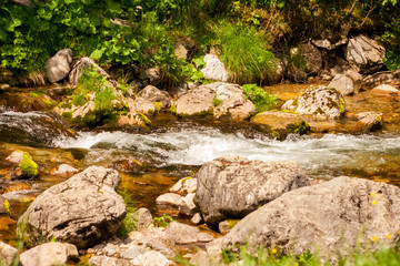 Close-up streams of water between mountain stones. Beautiful mountain river stream with fast flowing water and rocks. Flowing water in beautiful landscape. Picturesque rapids on the river.