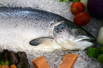 Salmon fish, Salmon large raw fresh on tray of ice close up