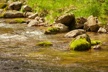 Naklejka na ściany i meble A mountain stream and stones covered with moss