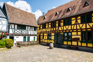Fototapeta na wymiar A smar House in Eltville in Rheinland-Pfalz Germany in the Rose holiday