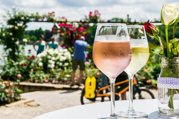 Two glasses of White Wine with Roses in the Background in Eltville in Rheinland-Pfalz in Germany