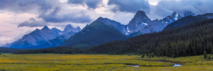 Obraz premium Mountain Meadow in the Canadian Rocky mountains in Kananaskis, Alberta