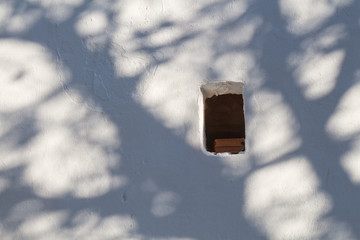 White wall with a shadow of a tree