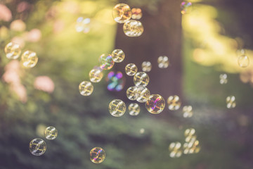 Bunte Seifenblasen im Park, Leichtigkeit und Freude