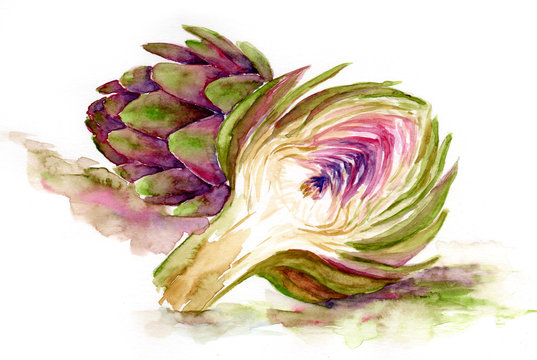 watercolor painting of vegetables. artichokes in whole and in a cut