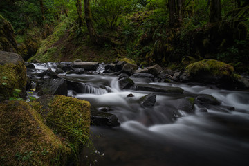Flowing creek waters in lush mossy forest of Oregon