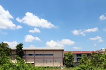 Fototapeta premium Commercial old buildings estate in the forest tree front