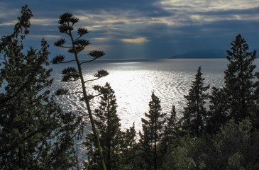 Kroatien, Sonnenuntergang, Adria, Dalmatien, Agave, Makarska, Makarskariviera