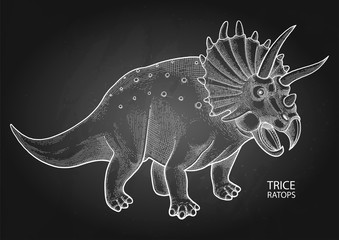 Realistic graphic dinosaur