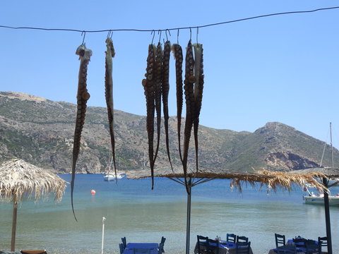 Polpi a essiccare, Porto Kagio