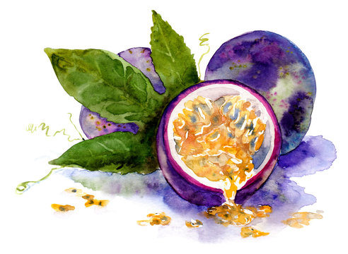 Watercolor Drawing Of Fruit. Ripe Passion Fruit