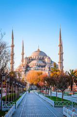 Obraz premium The Blue Mosque, (Sultanahmet Camii), Istanbul, Turkey.