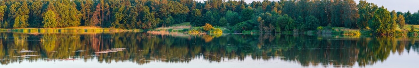 Evening summer lake landscape.