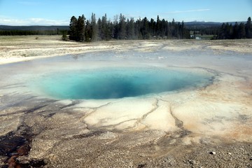 Hydrothermal activity – Yellowstone NP – USA 