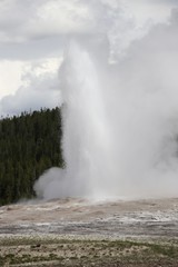 Old Faithful Geyser – Yellowstone NP – USA 