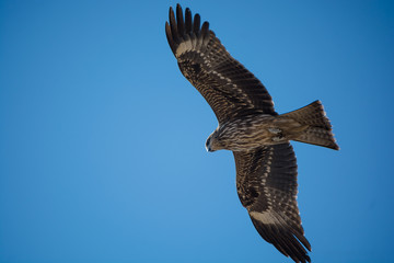 You never fly high, if you are too afraid of the heights