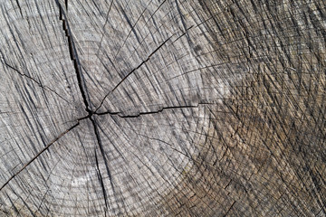 Fototapeta premium Holz als Hintergrund mit Struktur