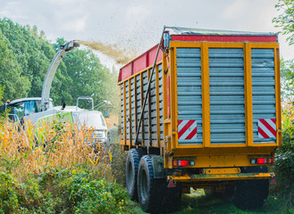 Maisernte, Maishäcksler in Aktion, Erntewagen mit Traktor © Natascha