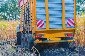Maisernte, Maishäcksler in Aktion, Erntewagen mit Traktor