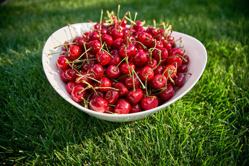 Red ripe cherries on a white plate on green grass. summer berries, natural vitamins, healthy food