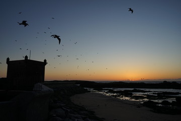 essouira sunset 2