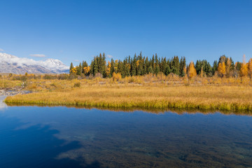 Scenic Autumn Reflection Landscape int he Tetons