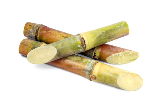 Sugar cane, Cane, Sugarcane piece fresh, Sugar cane on white background, Sugarcane fresh