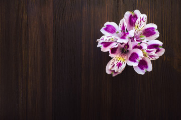 Bouquet of Peruvian Lillies on Dark Wood Table