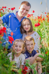 Sister and brother among poppy field with parents out of focus