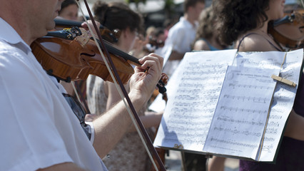 violinist in orchestra