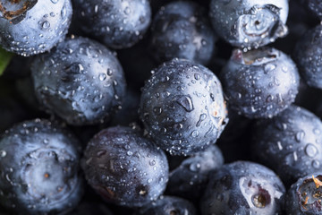  Ripe and juicy fresh picked blueberries closeup.