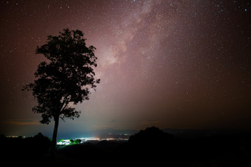 Naklejka na ściany i meble Night sky of milky way with tree located north of thailand